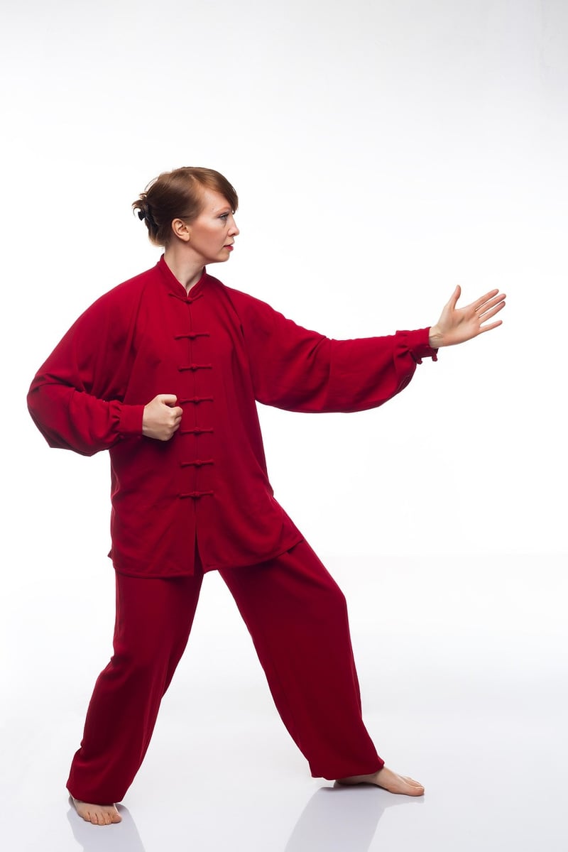 Wu Style Tai Chi Chuan